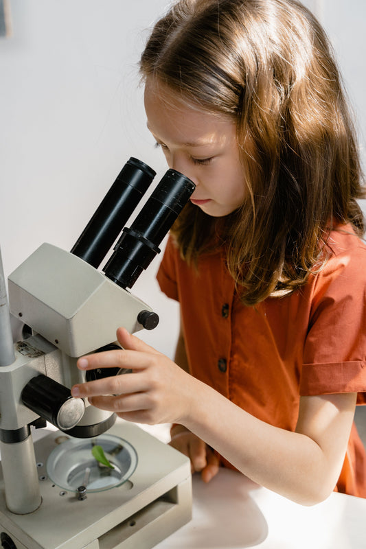 ADHD and the Gut–Brain Connection: What Science Is Exploring About Focus and Digestion
